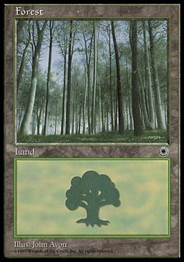 Floresta (4) / Forest (4)