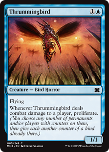Colibri Tamborilante / Thrummingbird