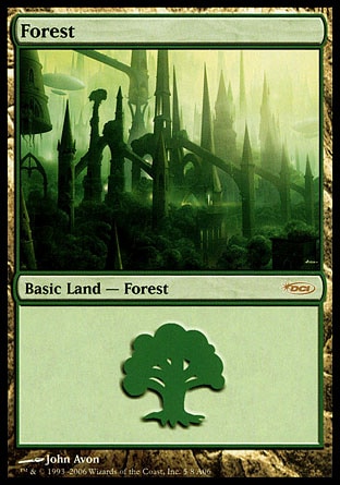 Floresta (A06) / Forest (A06)