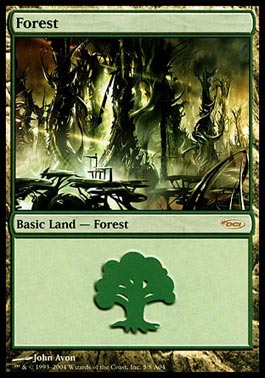 Floresta (A04) / Forest (A04)