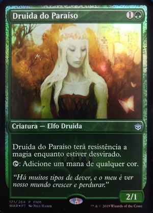 Druida do Paraíso / Paradise Druid