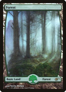 Floresta (#5) / Forest (#5)