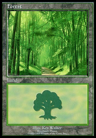 Floresta (2) / Forest (2)