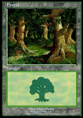 Floresta (#11) / Forest (#11)