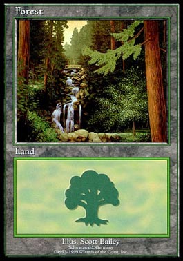 Floresta (1) / Forest (1)