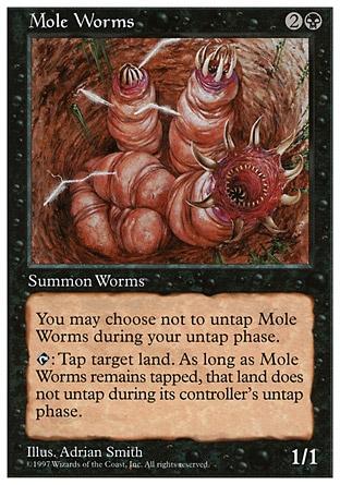 Vermes Toupeiras / Mole Worms