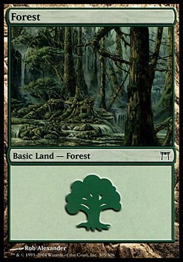Floresta (#305) / Forest (#305)