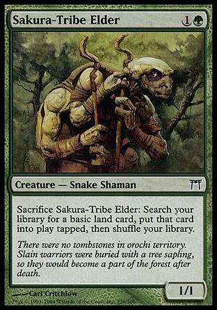 Ancião da Tribo Sakura / Sakura-Tribe Elder