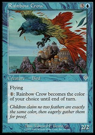 Corvo do Arco-Íris / Rainbow Crow