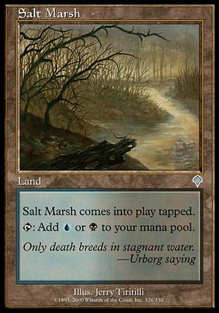 Pântano Salgado / Salt Marsh
