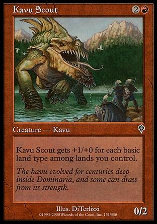 Batedor Kavu / Kavu Scout