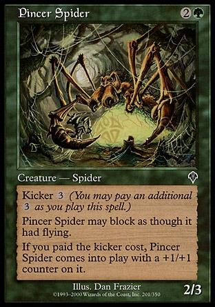 Aranha de Pinças / Pincer Spider