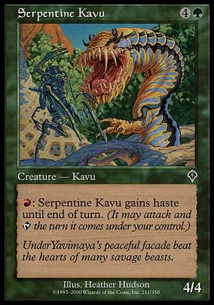 Kavu Serpenteante / Serpentine Kavu