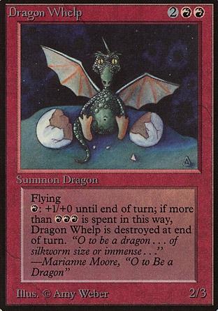 Filhote de Dragão / Dragon Whelp