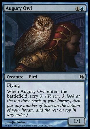 Coruja do Agouro / Augury Owl