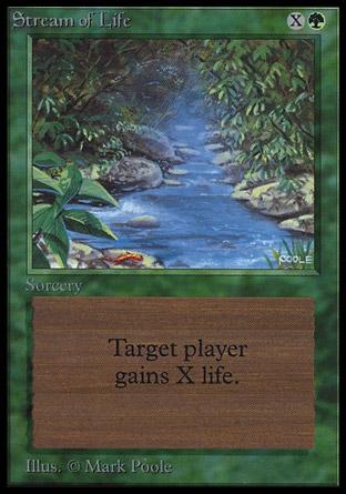 Fluxo de Vida / Stream of Life
