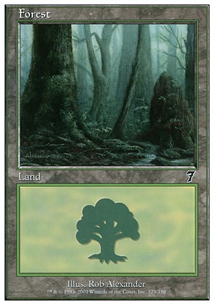 Floresta (#329) / Forest (#329)