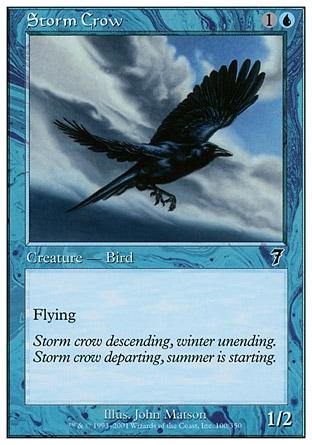Corvo da Tempestade / Storm Crow