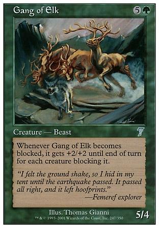 Manada de Alces / Gang of Elk