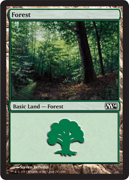 Floresta (#247) / Forest (#247)