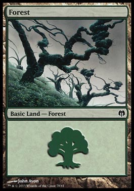 Floresta (#78) / Forest (#78)
