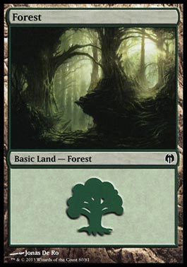 Floresta (#80) / Forest (#80)