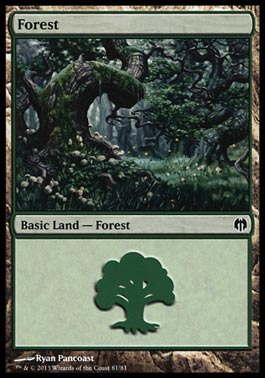 Floresta (#81) / Forest (#81)