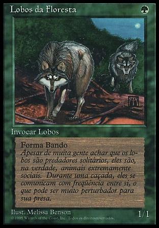 Lobos da Floresta / Timber Wolves