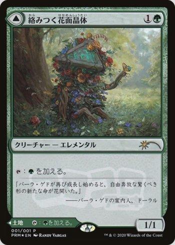 Floriedro Emaranhado / Tangled Florahedron
