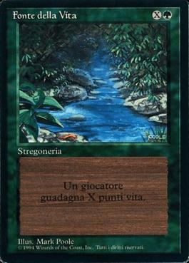 Fluxo de Vida / Stream of Life