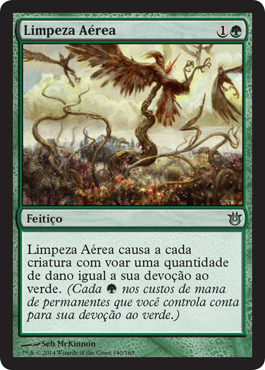 Limpeza Aérea