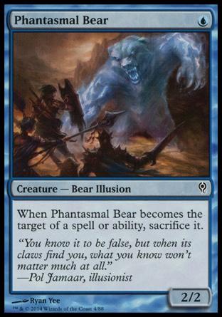 Urso Fantasmal / Phantasmal Bear