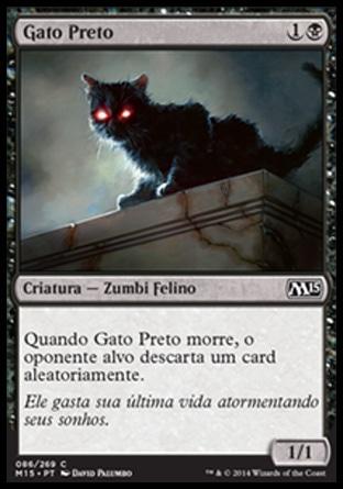 Gato Preto / Black Cat