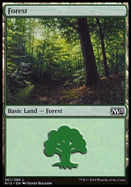 Floresta (#267) / Forest (#267)