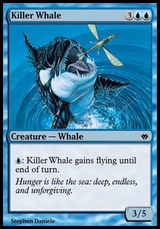 Baleia Assassina / Killer Whale