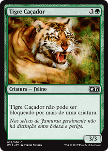 Tigre Caçador / Stalking Tiger