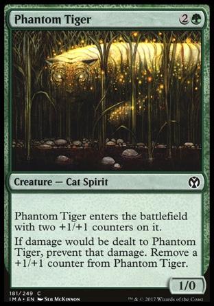 Tigre Fantasma / Phantom Tiger