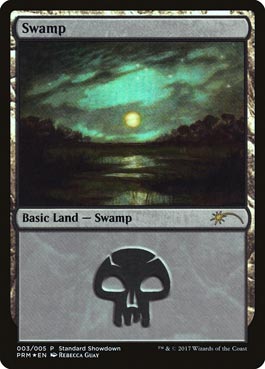 Pântano (#3) / Swamp (#3)