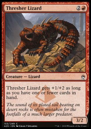 Lagarto-raposo / Thresher Lizard