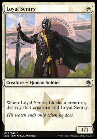 Sentinela Leal / Loyal Sentry