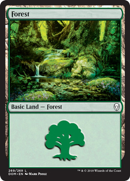 Floresta (#269) / Forest (#269)