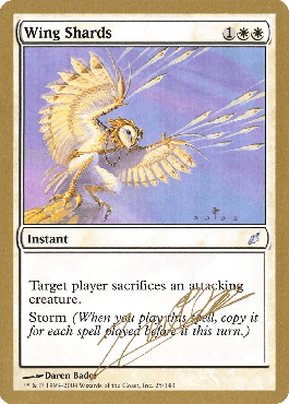 Retalhos de Asas / Wing Shards