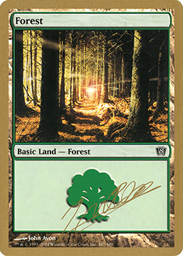 Floresta / Forest