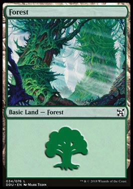 Floresta (#34) / Forest (#34)