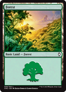Floresta (#308) / Forest (#308)