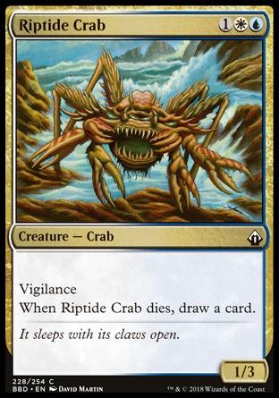 Caranguejo de Rebentação / Riptide Crab