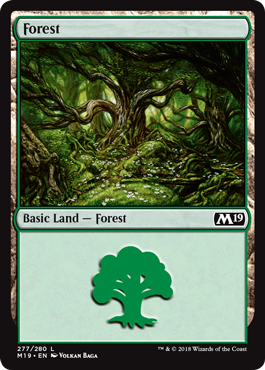 Floresta (#277) / Forest (#277)