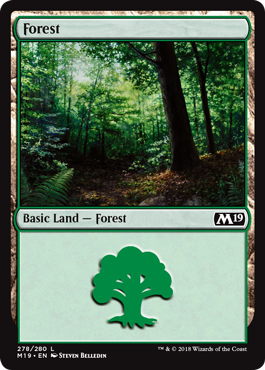 Floresta (#278) / Forest (#278)