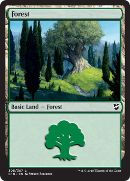 Floresta (#305) / Forest (#305)