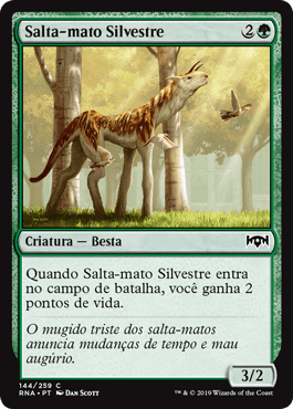 Salta-mato Silvestre / Sylvan Brushstrider
